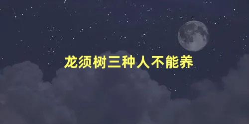 龙须树三种人不能养