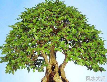 最简单的开业仪式风水