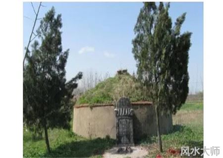 坟前栽树有什么风水讲究