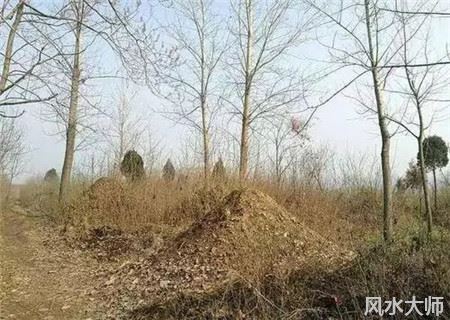 阴宅栽树的方位和禁忌