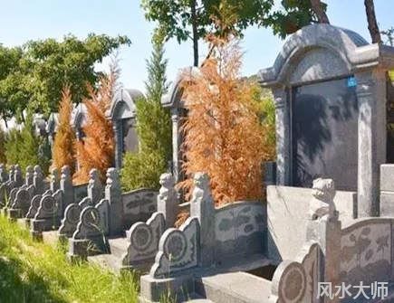 坟上放什么会家破人亡