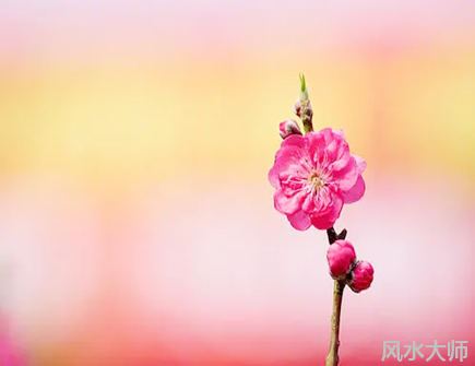 单身女戴什么招桃花