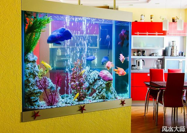 最佳商铺鱼缸风水摆放