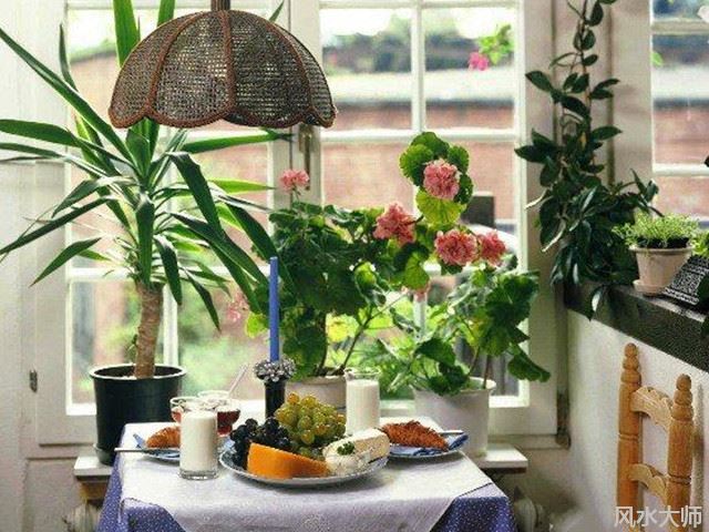 绿植与婚姻风水的关系