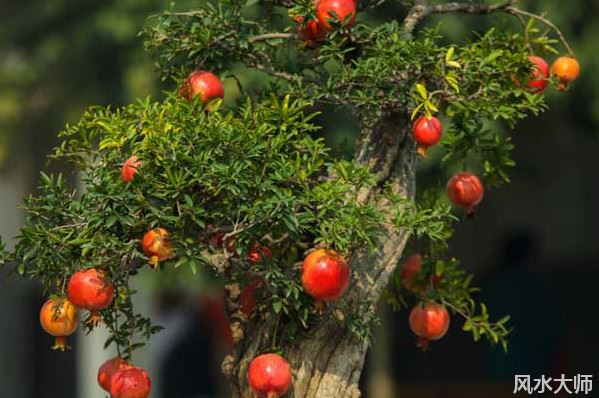大门对着马路如何破解