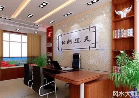 办公室的财位放什么比较好