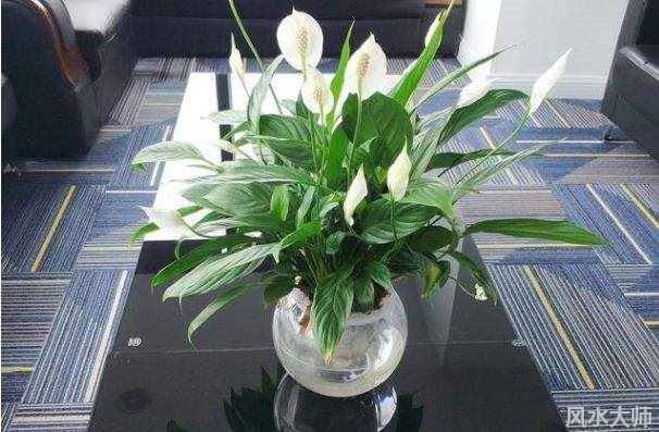 一帆风顺有什么风水寓意