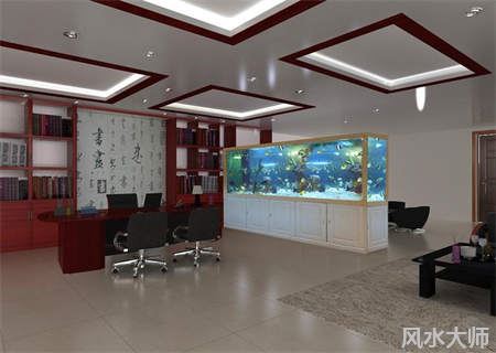 办公室养鱼有什么讲究