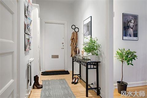 玄关摆放植物的风水讲究