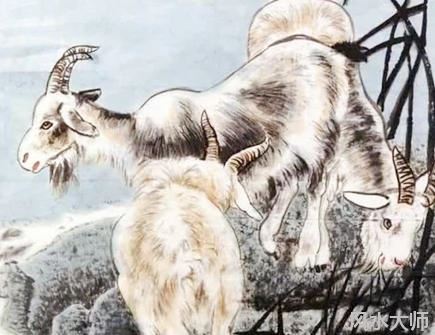 属羊人本命年可以结婚吗