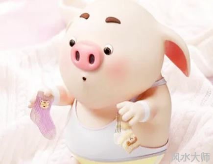 属猪人本命年可以结婚吗