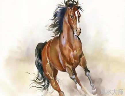 属马人本命年可以结婚吗