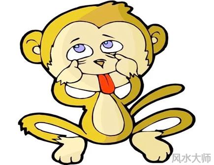 属猴人本命年可以结婚吗