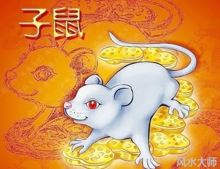 属鼠人本命年可以结婚吗