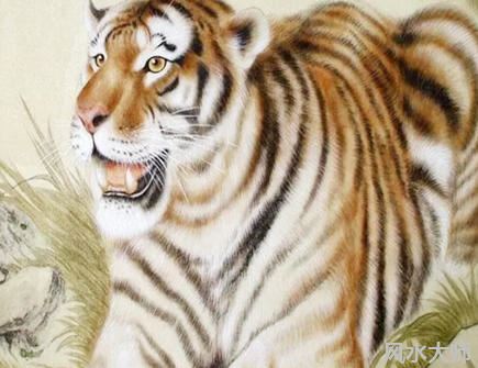 属虎人本命年可以结婚吗