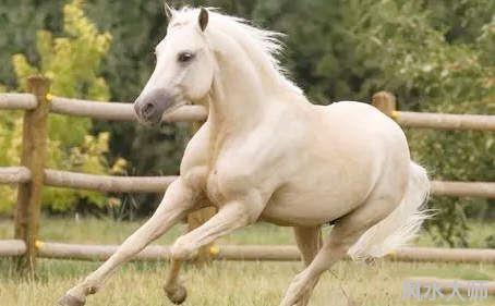 属马人一生最克谁