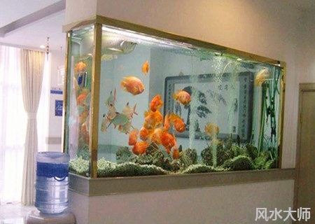 鱼缸放在哪里最招财