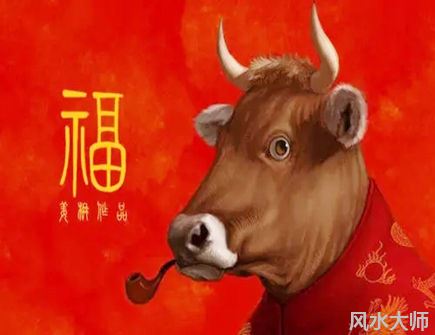 属牛男是不是很花心