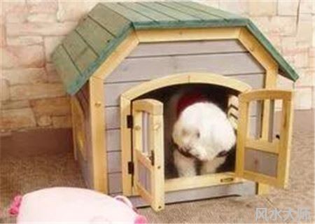 狗窝适合放在什么位置