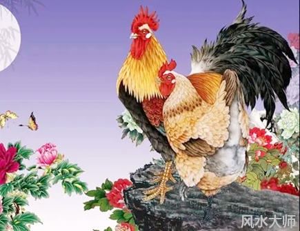 属鸡人2022年忌讳什么颜色