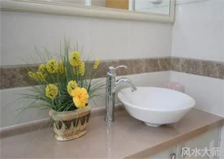 卫生间放什么植物旺风水