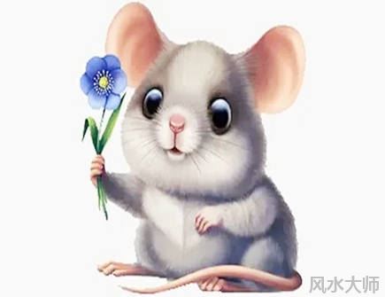 属鼠人2022年忌讳什么颜色