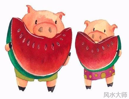 属猪的一生有几次大劫