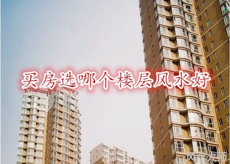 买房选哪个楼层风水好
