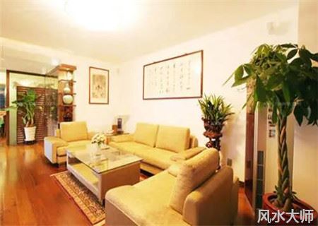 客厅西南角放什么旺财