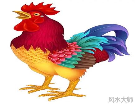 属鸡的一生有几次大劫