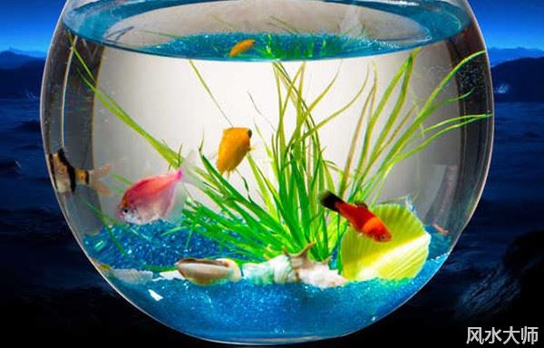 哪些物品会破财