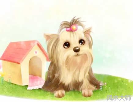 属狗人2022年的幸运色