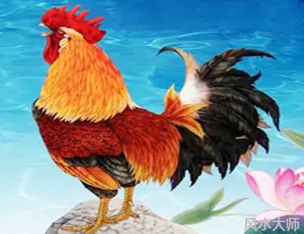 属鸡人2022年的幸运色