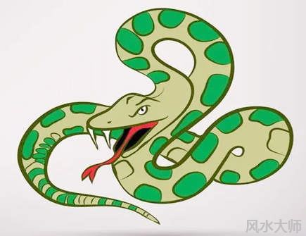 属蛇人2022年的幸运色