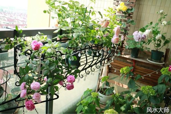 好阳台风水如何打造