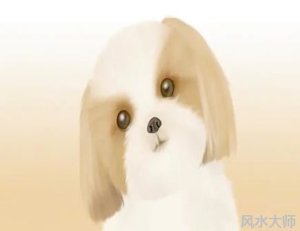 属狗人的人品怎么样