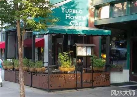 店门口有树好不好