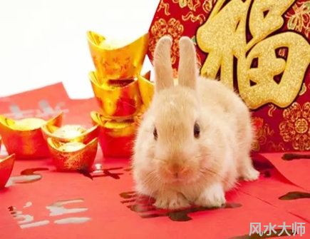 2022年属兔人的学业运势
