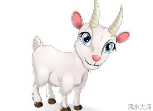 二婚反而好的生肖