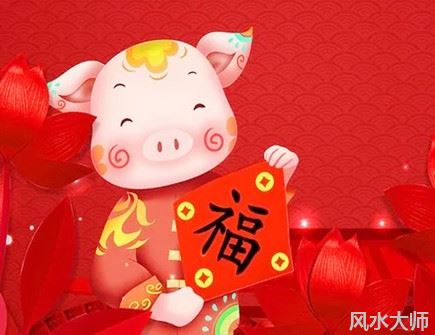 属猪男人花心吗