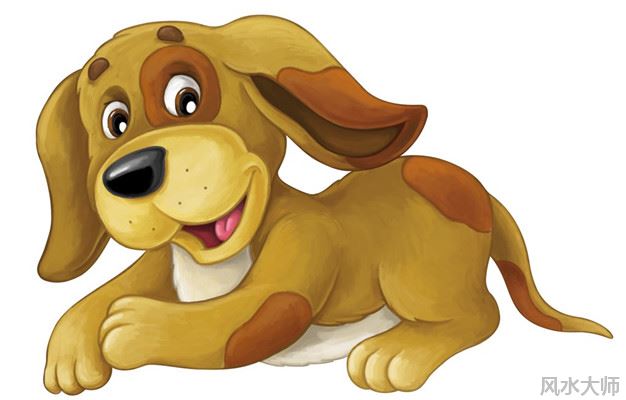 属狗人和生肖中谁最配