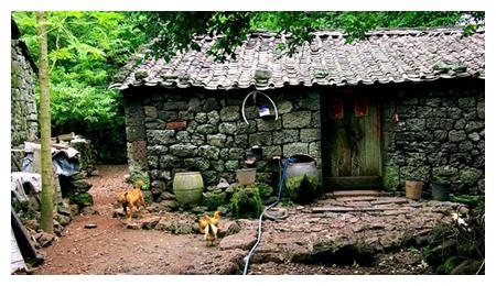 房子看到坟墓好不好