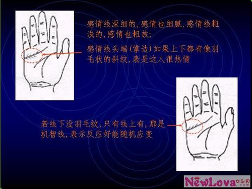 教你如何看手相