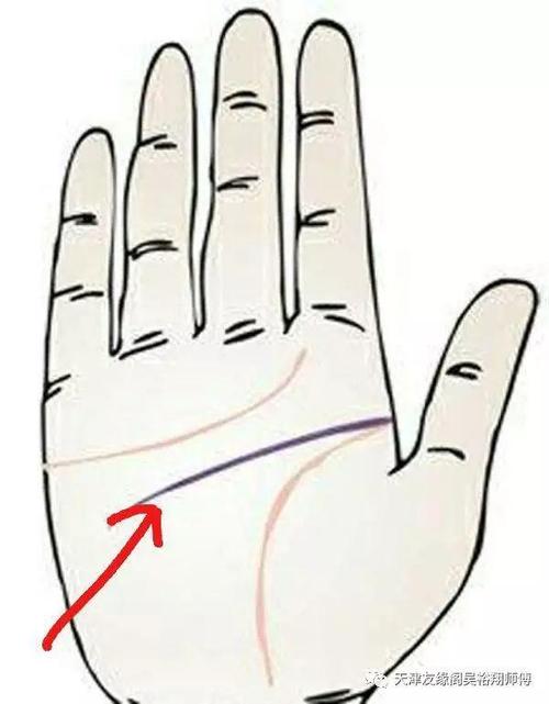 教你如何看手相