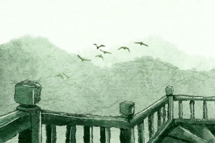 孕妇梦到一只巨大的海龟