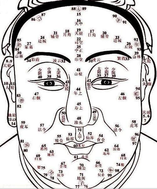 一看面相就知几个子女