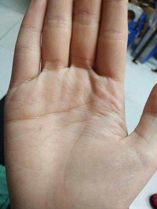 掌纹图解女右手详解