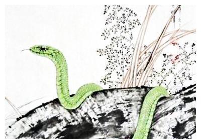 持家有道是什么生肖