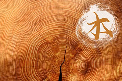 石榴木命几月出生的好财运怎么样