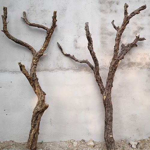 石榴木命适合做什么行业